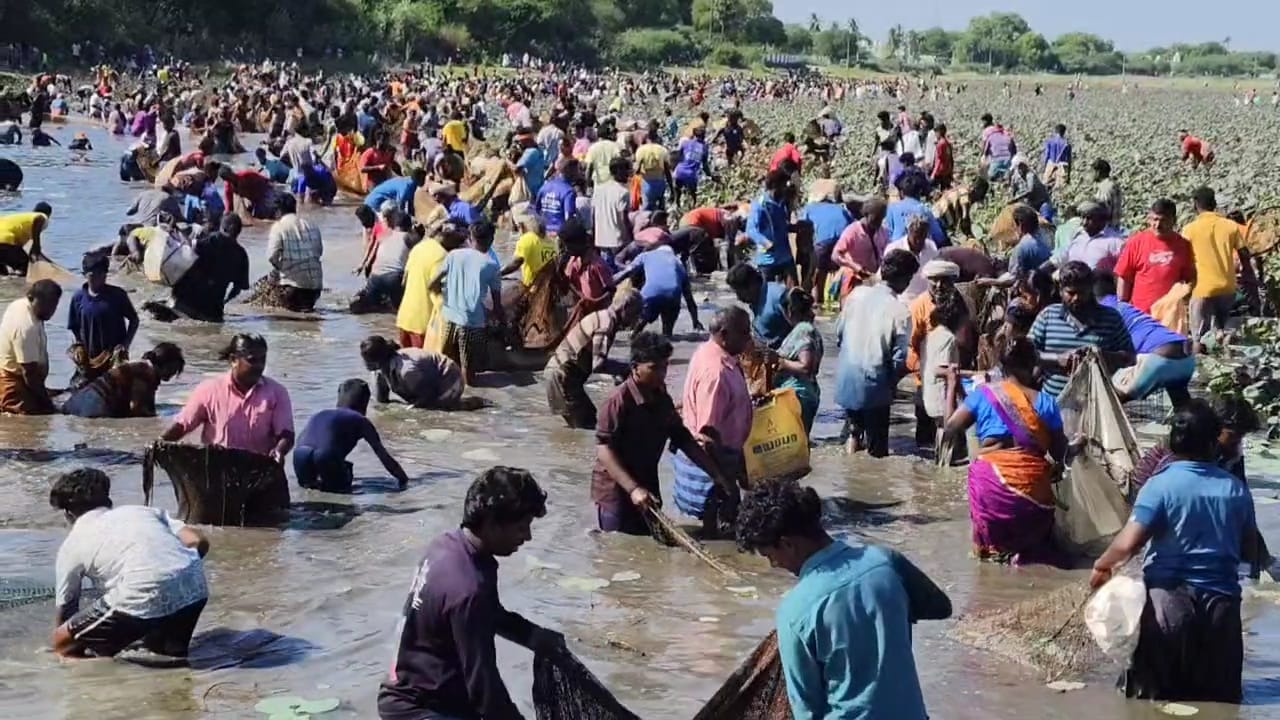 அரளி கண்மாயில் பாரம்பரிய மீன்பிடித் திருவிழா