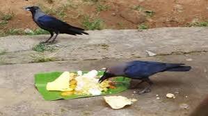 காகத்துக்கு ஏன் உணவு வைக்க வேண்டும்?