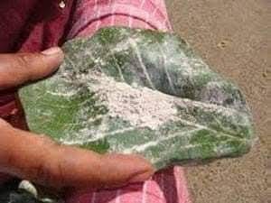 திருச்செந்தூர் கோயில் விபூதி