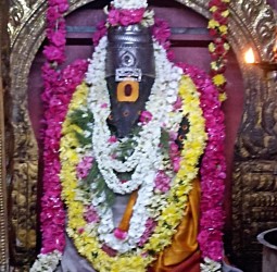 ஆவணி மாதம் மகா சங்கடஹர சதுர்த்தி சிறப்பு வழிபாடு.......