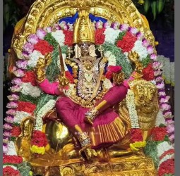 ஸ்ரீ அருள்மிகு அங்காள பரமேஸ்வரி அம்மன் சிறப்பு வழிபாடு.....