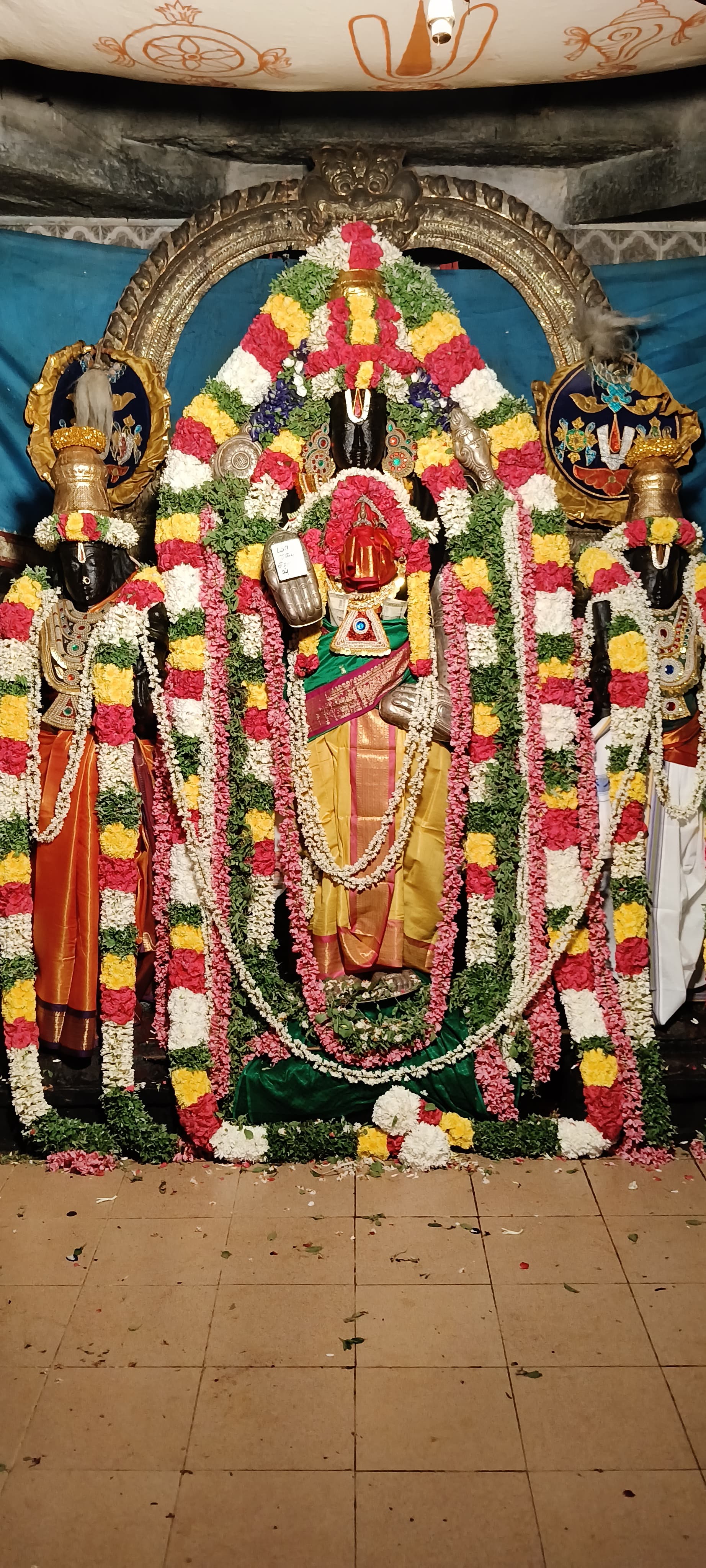கோலியனூர் ஸ்ரீ வரதராஜ பெருமாள் ஸ்ரீ உப்பிலியப்பன் அவதாரத்தில் பக்தர்களுக்கு அருள் பாலிப்பு!