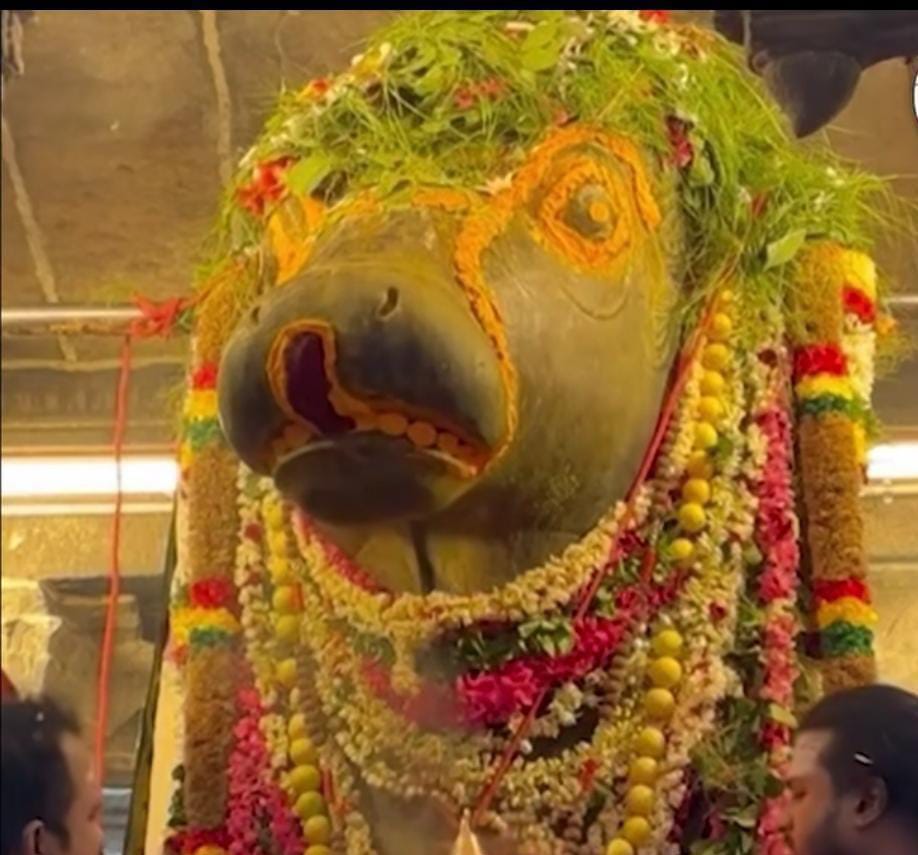 பிரதோஷ வழிபாடு.......