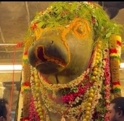 பிரதோஷ வழிபாடு.......