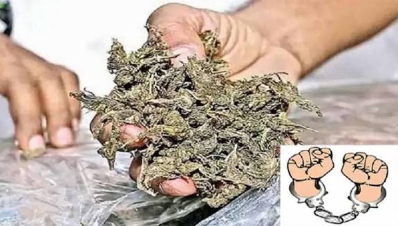 பூந்தமல்லியில் 21 கிலோ கஞ்சா கடத்தல்: 3 வடமாநில ஆசாமிகள் கைது