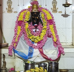 கூழமந்தல் அருள்மிகு 27 நட்சத்திர விருச்சக விநாயகர் கோயிலில் சங்கடஹர சதுர்த்தி விழா