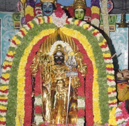 தங்கக் கவச அலங்காரத்தில் காலபைரவர்