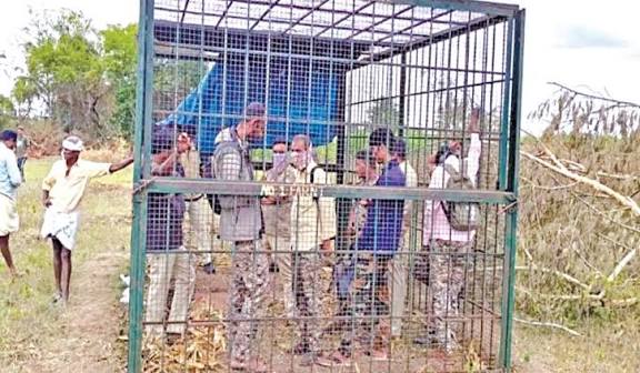 புலியைப் பிடிக்காததால் கிராம மக்கள் ஆத்திரம்: கர்நாடகாவில் 7 வனத் துறையினர் கூண்டில் அடைப்பு