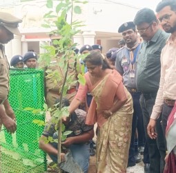 செங்கல்பட்டு சார் ஆட்சியர் மரக்கன்று நட்டு வைத்தார்