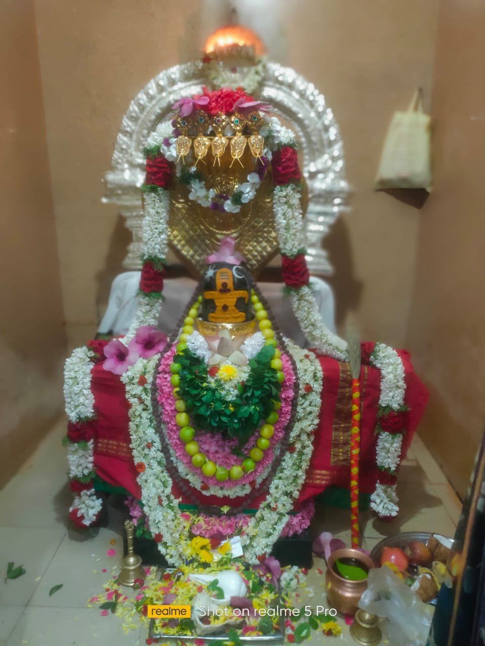 வடமலைப்பட்டி கிராமத்தில் எழுந்தருளியிருக்கின்ற சர்வலிங்கேஸ்வரர் ஆலயத்தில் பிரதோஷ சிறப்பு வழிபாடு