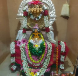 வடமலைப்பட்டி கிராமத்தில் எழுந்தருளியிருக்கின்ற சர்வலிங்கேஸ்வரர் ஆலயத்தில் பிரதோஷ சிறப்பு வழிபாடு