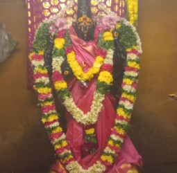 சிறப்பு அலங்காரத்தில் திருமெய்யம் ஸ்ரீ வேணுவனேஷ்வரி