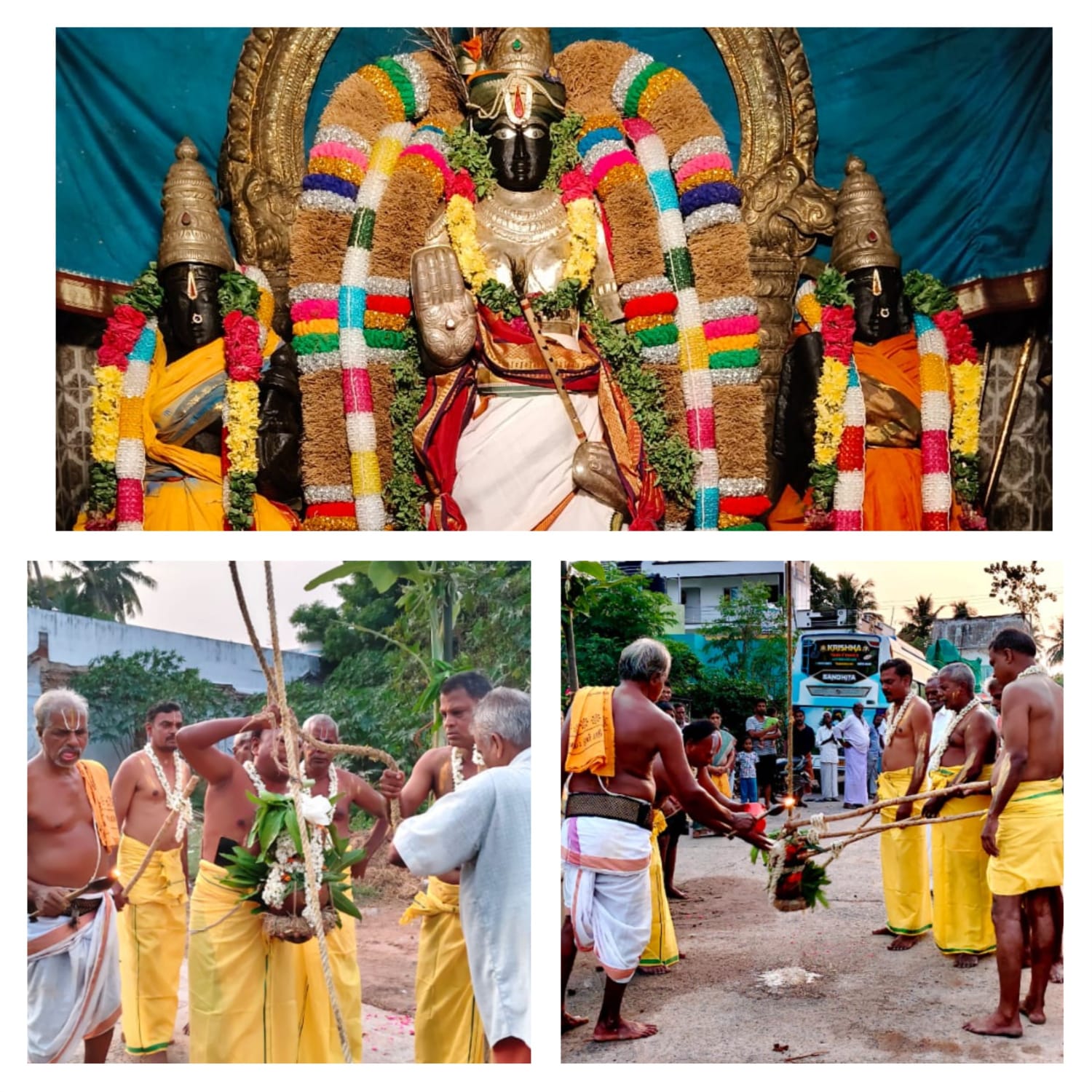 கோலியனூர் ஸ்ரீ வரதராஜ பெருமாள் கோயிலில் ஸ்ரீ ஜெயந்தி உறியடி உற்சவம்!