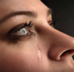 வாடகை அழுகை