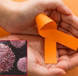 இன்று உலக புற்றுநோய் தினம்.. ஆரோக்கியத்தை மேம்படுத்த செய்ய வேண்டியது என்ன?