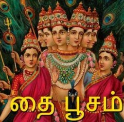 தைப் பூசம்...