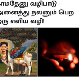 காமதேனு வழிபாடு - அனைத்து நலனும் பெற ஒரு எளிய வழி!