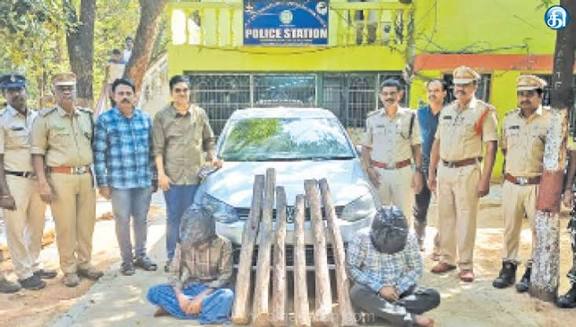 திருப்பதியில் போலீசார் அதிரடி 6 செம்மரக்கட்டைகளை கடத்திய 2 பேர் கைது