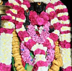 ஸ்ரீ கால பைரவருக்கு தேய்பிறை அஷ்டமி வழிபாடு.......