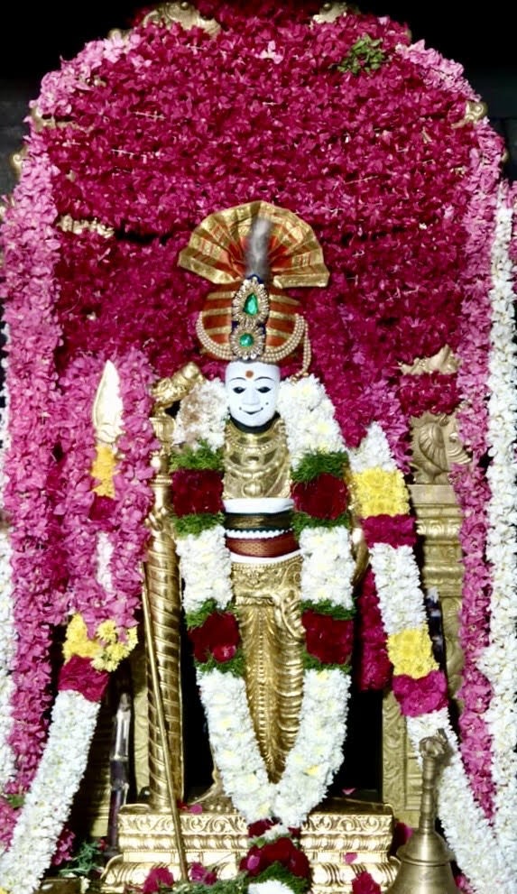 குறிஞ்சியாண்டவர் கோயிலில் சிறப்பு அலங்காரத்தில் அருள்பாலித்த முருகன்