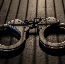 திருவள்ளூர்: சென்சஸ் எடுப்பதாக கூறி செயின் பறிப்பில் ஈடுபட்ட பெண் கைது