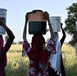 ஹரியானாவில் 5 குழந்தைகள் உள்பட 12 பேர் உயிரிழப்பு: அசுத்தமான குடிநீர் காரணமா?