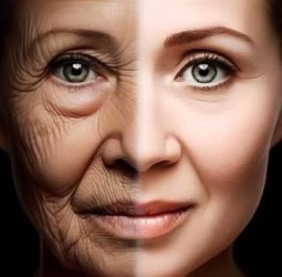 முதுமையை வெல்ல முடியுமா? இதோ அறிவியலின் 3 முக்கிய ரகசியங்கள்!