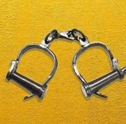 சீன மோசடி கும்பலுக்கு உதவிய 3 போ் கைது