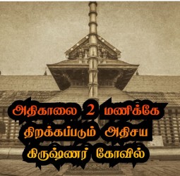 அதிகாலை 2 மணிக்கே திறக்கப்படும் அதிசய கிருஷ்ணர் கோவில்