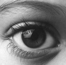 காதல் கண்கள் உறங்கிடுமோ