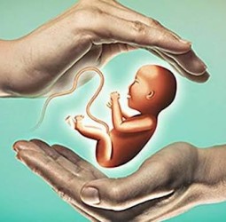 வெளிநாடுகளுக்கு சென்று ஸ்கேன் பரிசோதனை செய்து கருவின் பாலினத்தை தெரிவித்தால் கடும் நடவடிக்கை