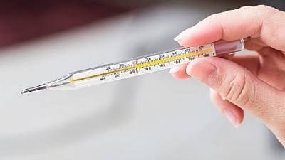 குரங்கு காய்ச்சல்: தமிழக எல்லைகளில் கண்காணிப்பைத் தீவிரப்படுத்த உத்தரவு