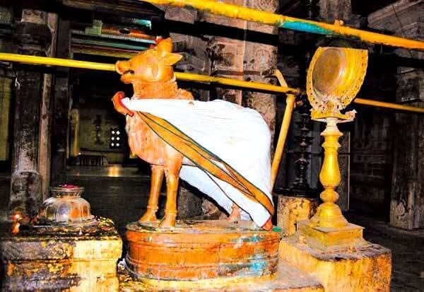 நின்ற கோலத்தில் நந்தி..!