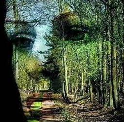 எனை நனைத்த மழை !