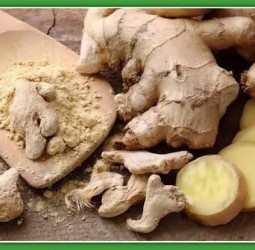 இஞ்சி எதனுடன் எப்படி சாப்பிட்டால் என்ன பலன் கிடைக்கும்..?