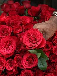 மௌன தாகம்*