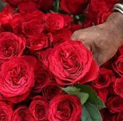 மௌன தாகம்*