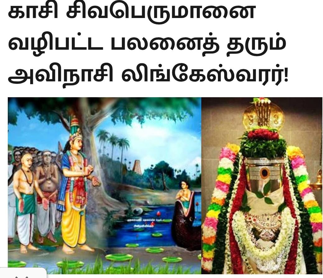 *காசி சிவபெருமானை வழிபட்ட பலனைத் தரும் அவிநாசி லிங்கேஸ்வரர்!*
