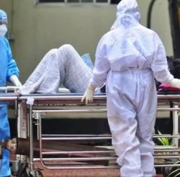 இந்தியாவில் நிபா வைரஸ் பாதிப்பு.. 5 பேருக்கு தொற்று உறுதி - தனிமைப்படுத்தப்பட்ட 100 பேர்