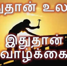 இதுதான் வாழ்க்கை