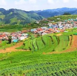 கொடைக்கானலின் மறைந்திருக்கும் சொர்க்கம்: பூம்பாறை!