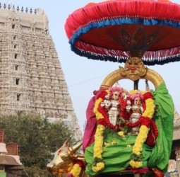 அருணாசலேஸ்வரர் கோவிலில் தைபிரதோஷத்தைஒட்டி தங்க ரிஷப வாகனத்தில் சுவாமி
