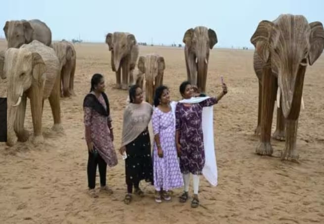 மரக்குச்சிகளால் உருவாக்கப் பட்ட யானைகள்