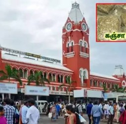 2025ல் மட்டும்; சென்னை சென்டிரல் ரெயில் நிலையத்தில் ரூ.1 கோடி கஞ்சா பறிமுதல்