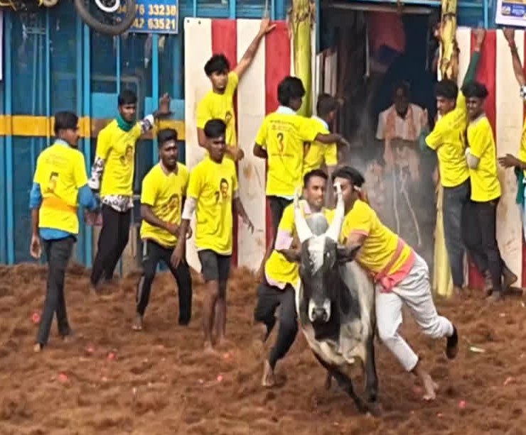 இந்த ஆண்டுக்கான முதல் ஜல்லிக்கட்டு போட்டி