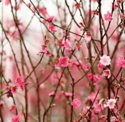 புத்தாண்டில் மாற்றங்கள் மலர வேண்டும்