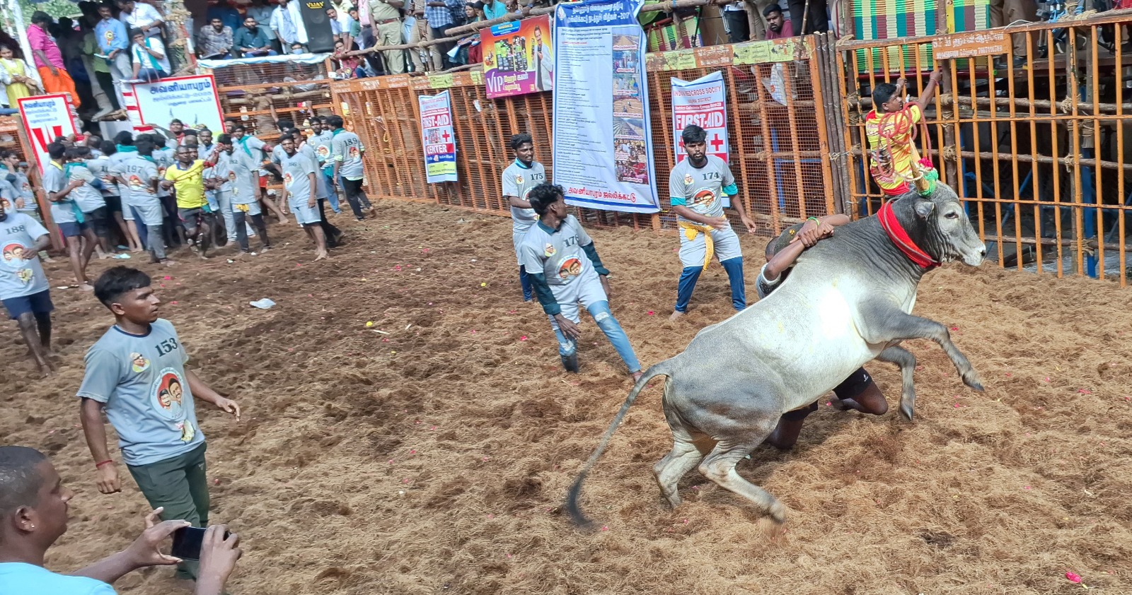 அவனியாபுரத்தில் நடந்த ஜல்லிக்கட்டு போட்டி