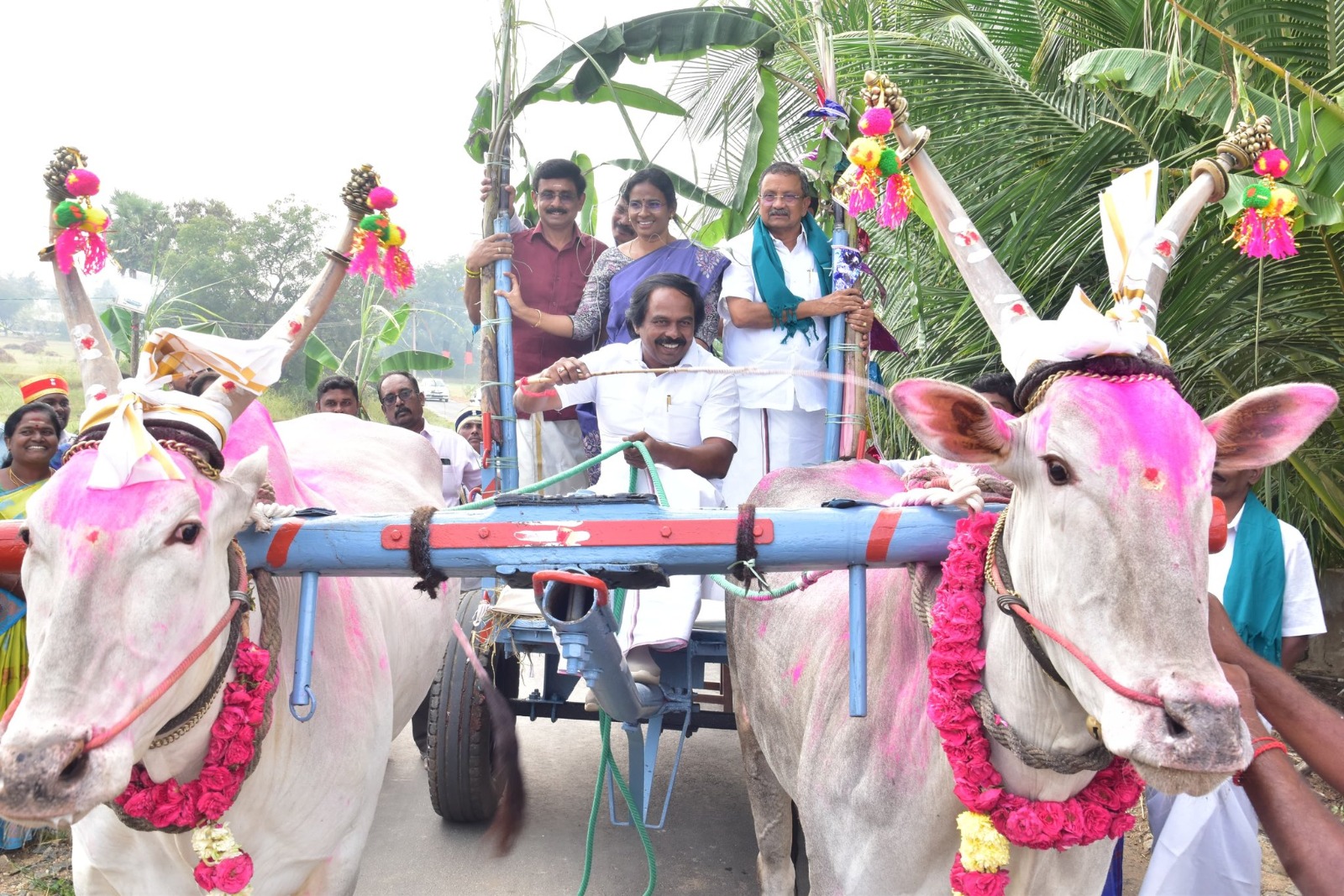 விவசாயிகள் மகிழ்ச்சியோடு கொண்டாடிய பாரம்பரிய மாட்டுப் பொங்கல்