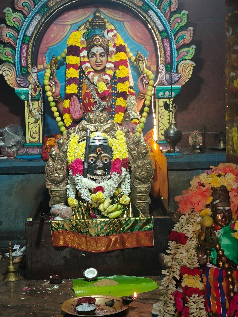 ஸ்ரீ ஆற்காட்டம்மன் ஆலயத்தில் தை மாத பிறப்பு, பொங்கல் திருவிழா