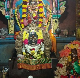 ஸ்ரீ ஆற்காட்டம்மன் ஆலயத்தில் தை மாத பிறப்பு, பொங்கல் திருவிழா